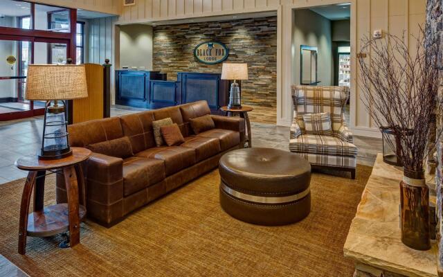 Black Fox Lodge Pigeon Forge, Tapestry Collection by Hilton