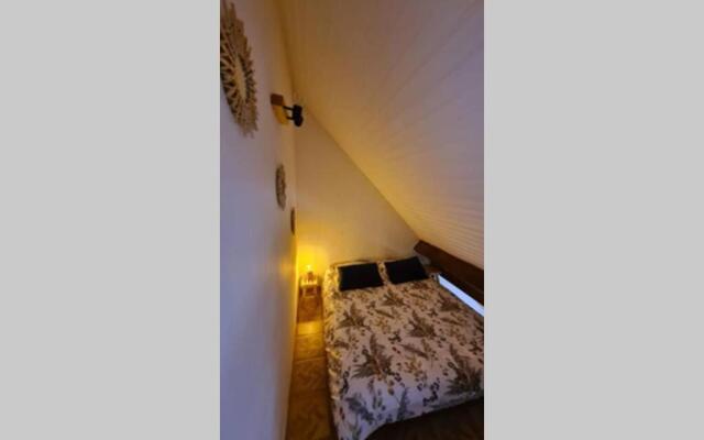 Appartement T3 Saint Lary-Soulan; Vielle-Aure