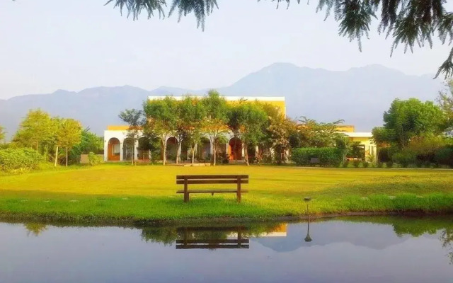 Focacia BNB
