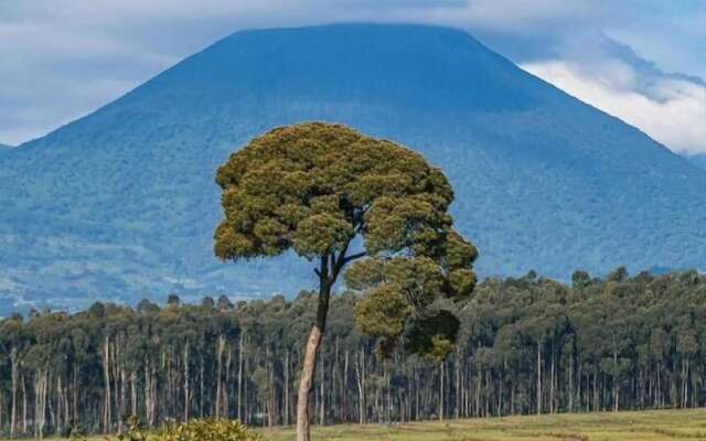 Virunga House