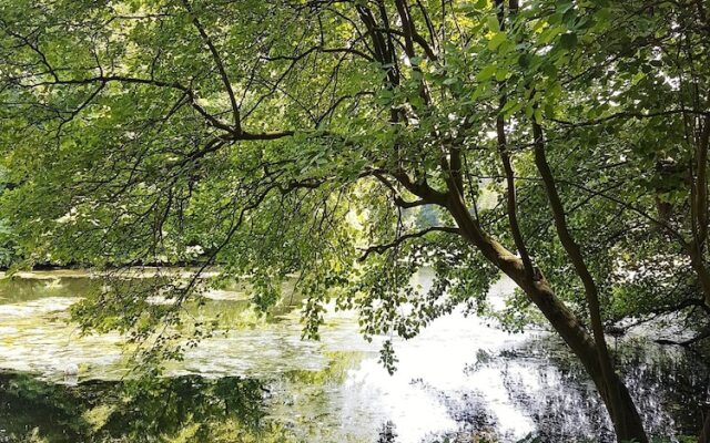 Ferienwohnung City Am Wall