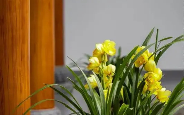 GU   YUan  Guesthouse