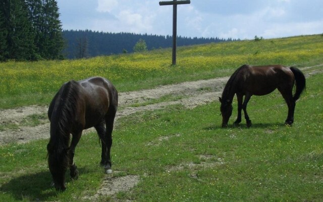 Tourkomplex Karpaty