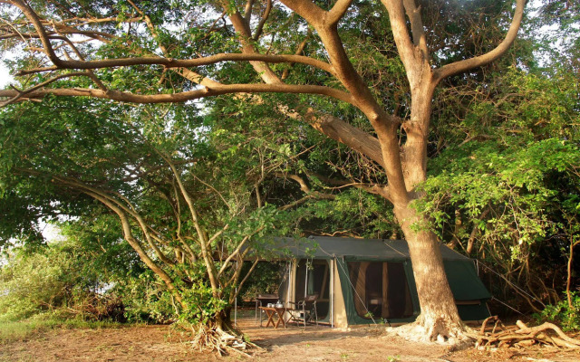 The Yala Camping