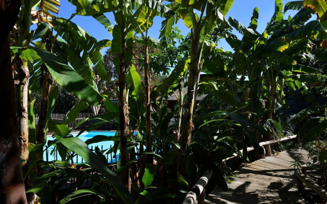 Lodge Roche Tamarin
