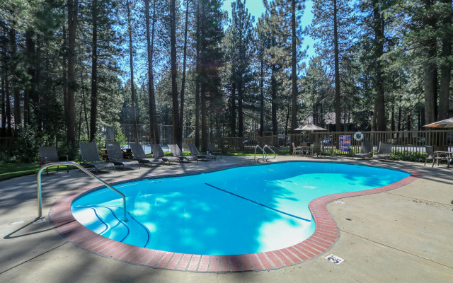 Sunshine Village #158