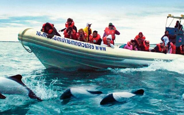Bahia Delfines