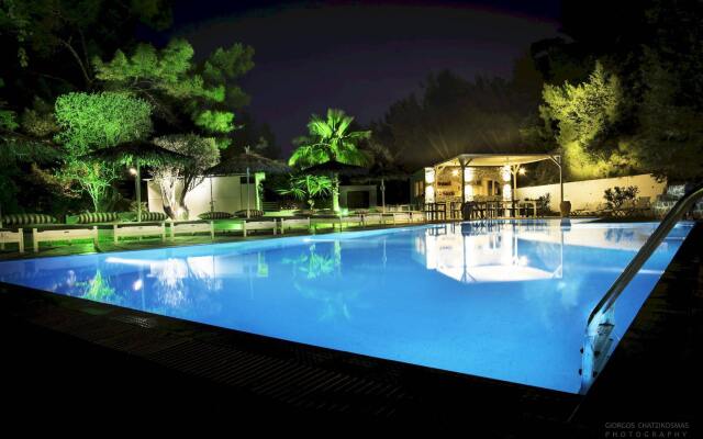 Trees Art Boutique Hotel