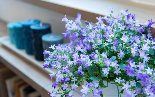 Suite Home Milano Brera