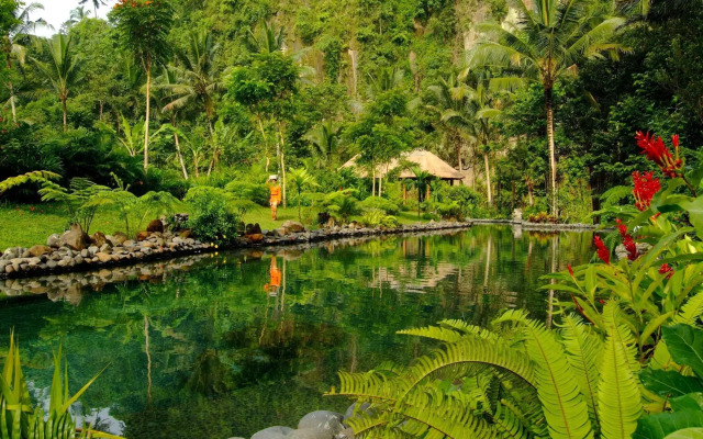 Отель Royal Pita Maha