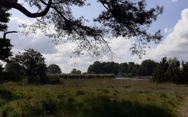 Drentse bungalow in natuur en rust