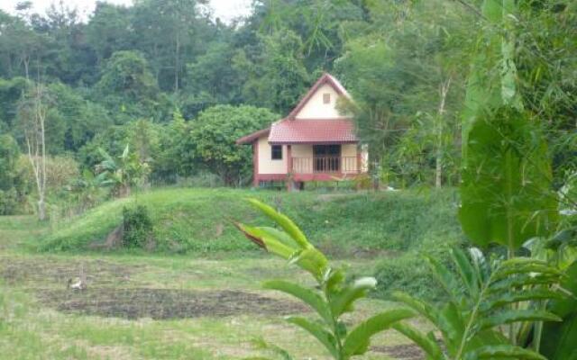 Suancha Tea Garden