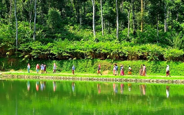 Amaana Plantations Resort