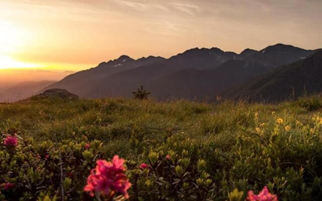 Seebrunn - Außere Schwemmalm