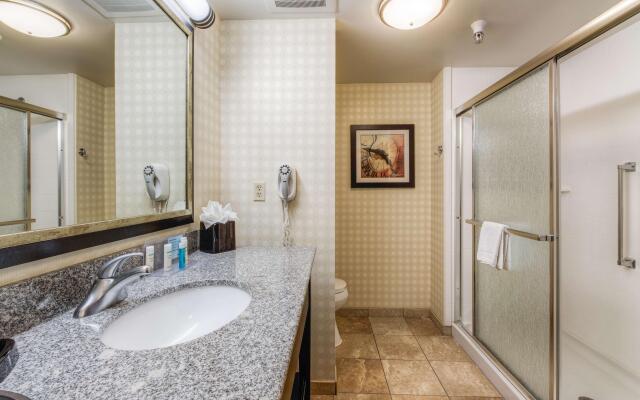 Hampton Inn & Suites Detroit / Airport - Romulus