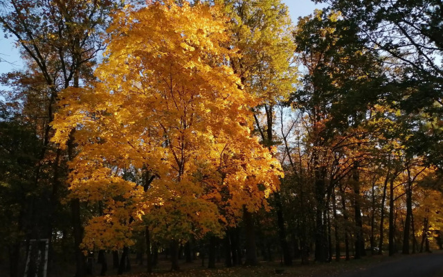 Ferienwohnung am Wasserturm