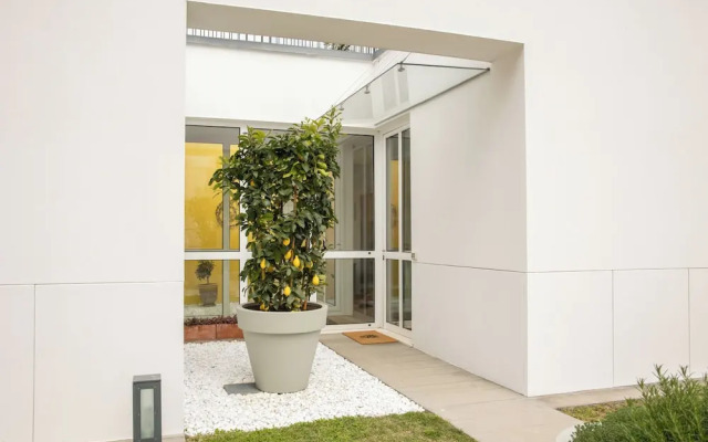 Lakefront Contemporary