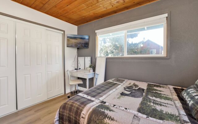 JAY Bird Landing Escape #2308