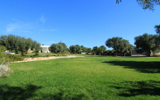 Piperita Lovely Trullo