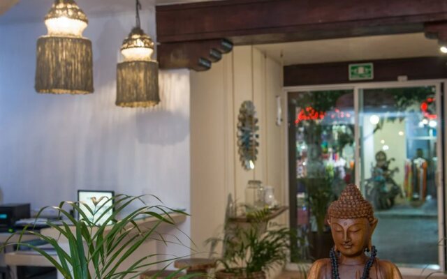 Hotel Banana Boutique & Spa by Paradise Hotels - 5th Av Playa del Carmen
