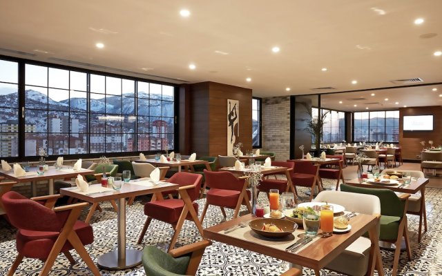 Hotel Dedeman Kayseri