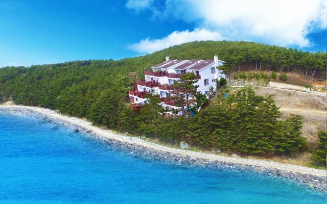 Choongcheong Seocheon Byeolbit Jeongwon Pension