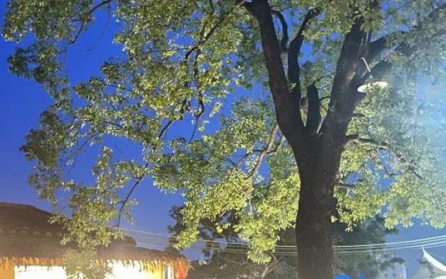Yukang Valley Courtyard – Outside – Huizhou