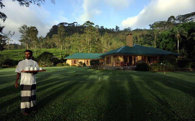 Ceylon Tea Trails