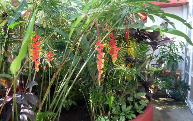 Casa de la Luz - Studio Apartment