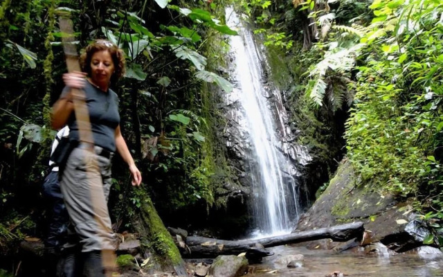 Bellavista Cloud Forest Reserve & Lodge