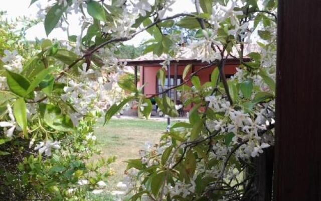 Brancatelli