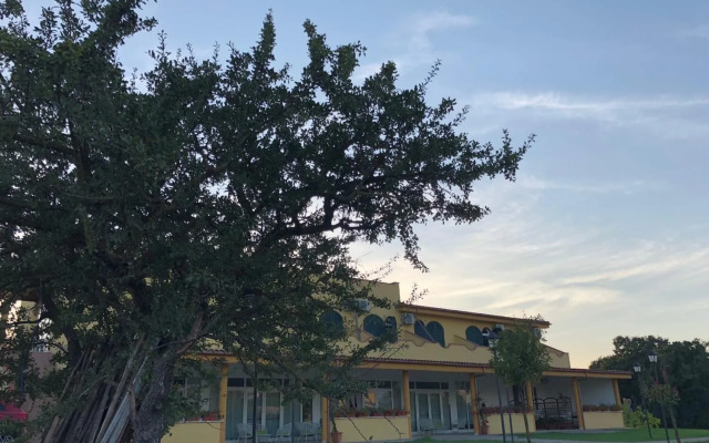 Agriturismo Lo Zafferano