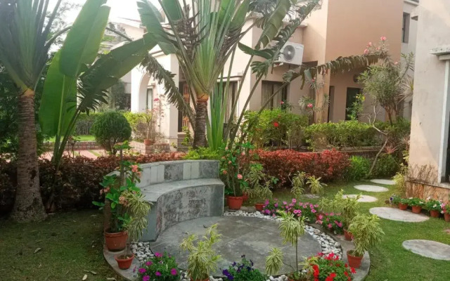 Gardenia 29