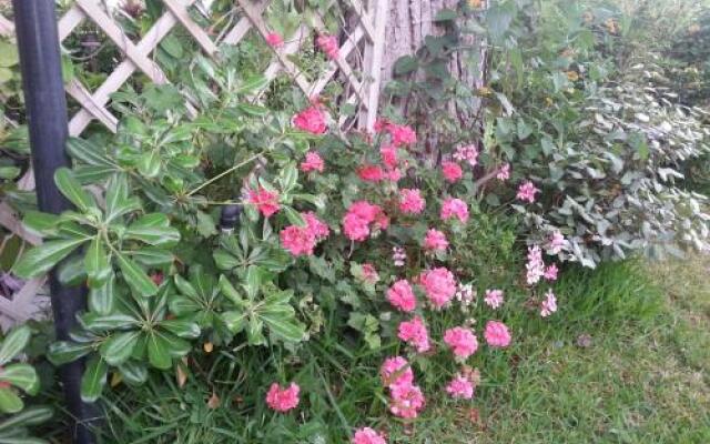 Villetta su canale navigabile