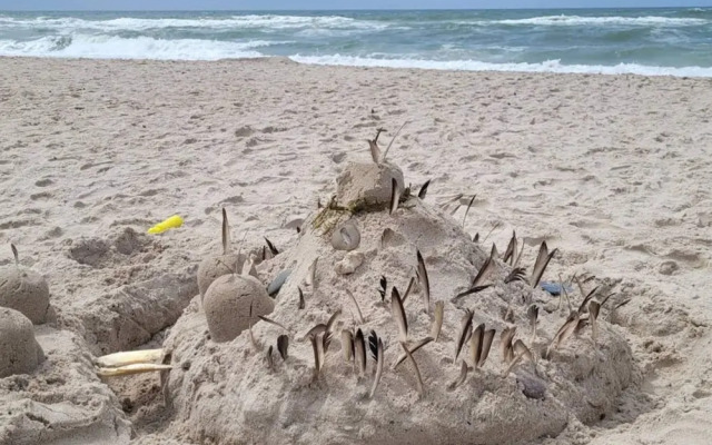 Serene Seaside Retreat in Haurvig-by Traum