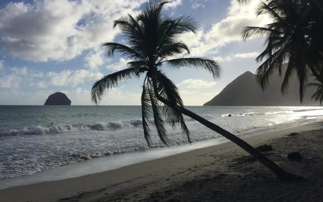 Superbe appartement T2 résidence sécurisée