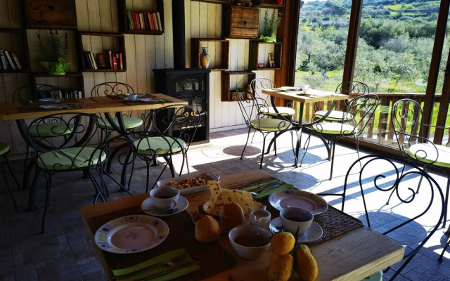 la corte degli ulivi