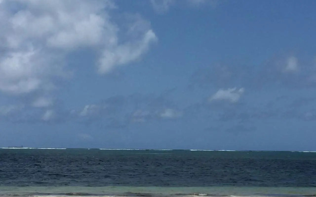 Beach Studio @ Cowrie