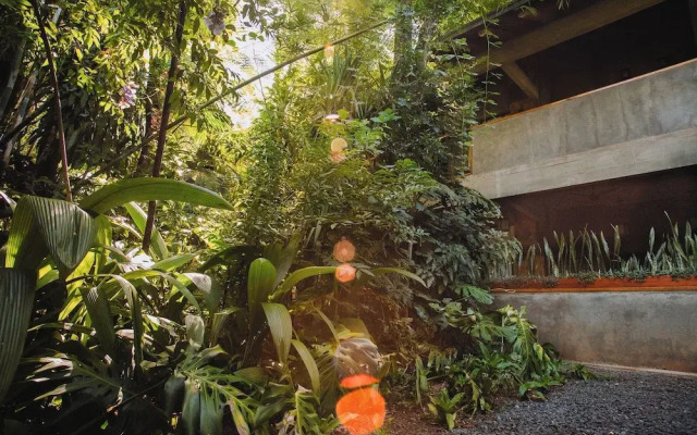 Miraselva lodge