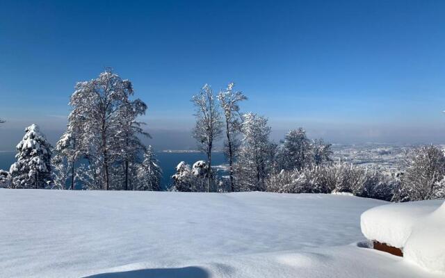 Seeblick Appartement Henle
