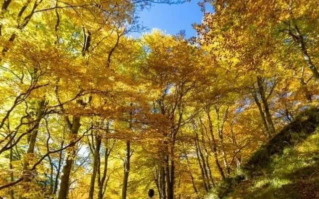 Appartamento Dimora in Piazza -Locazione Turistica Santa Maria Maggiore