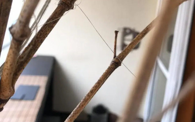 Stylish Penthouse Apartment