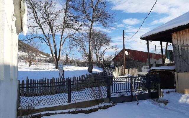 Shorena's Homestay