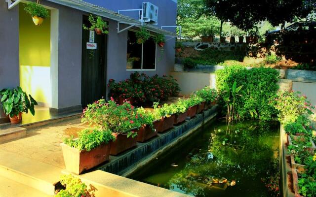 Viva Fernleaf Resort