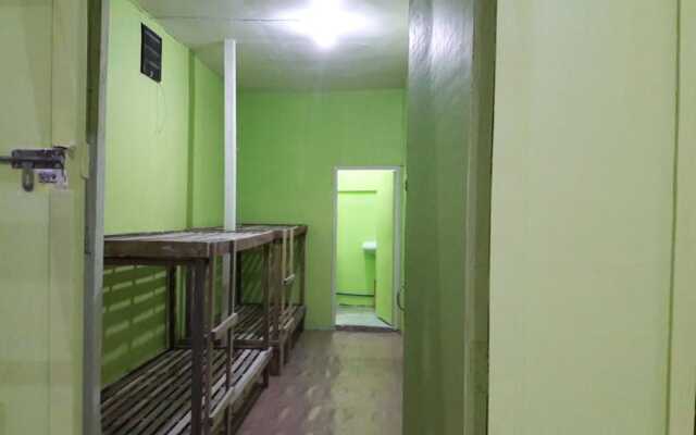 Green Bamboo