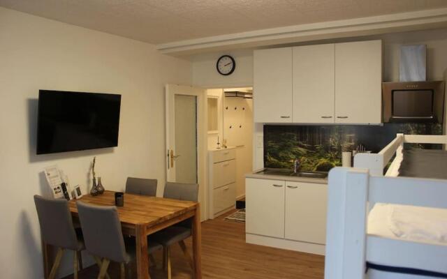 Gemütliches 4er Apartment in Skilift-Nähe