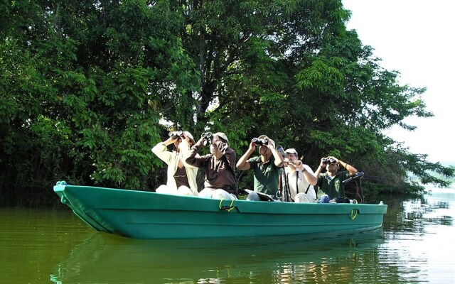 Zopango Orchids Island