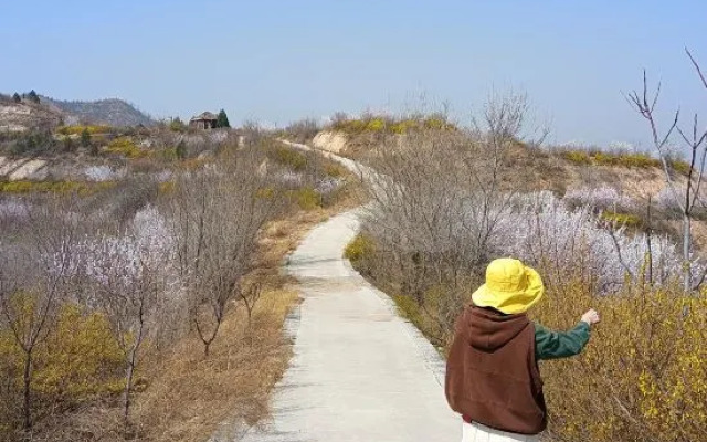 Xibaipo Xiaohang Homestay