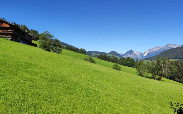 Ferienwohnungen Schneiderhausl