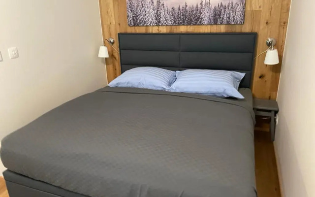 Luxury apartment Trio Harrachov A.2